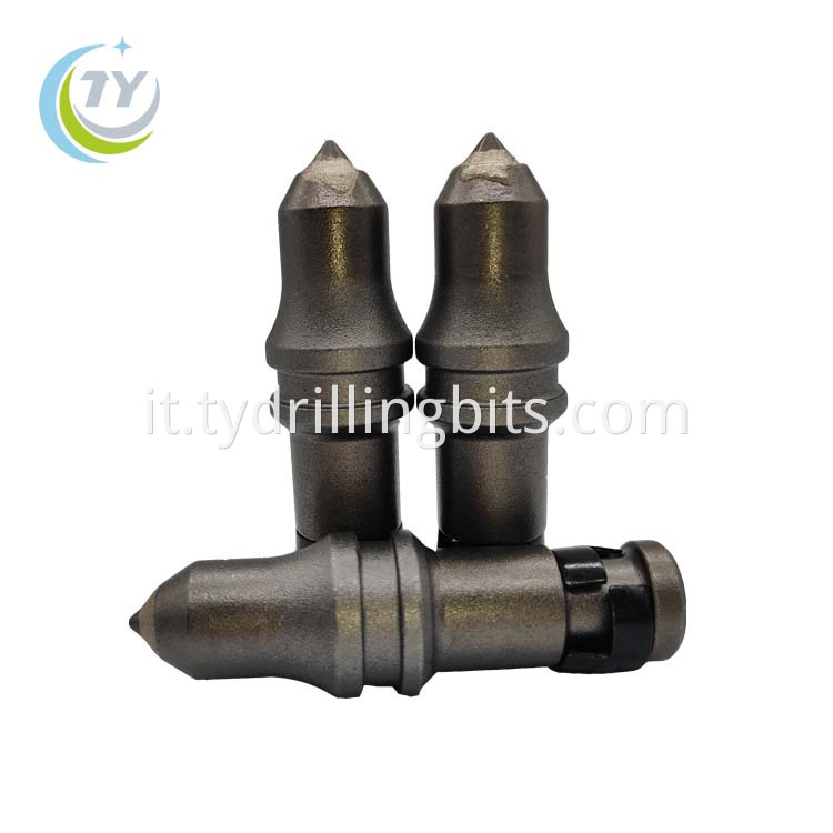 Carbide Bullet Teeth C21